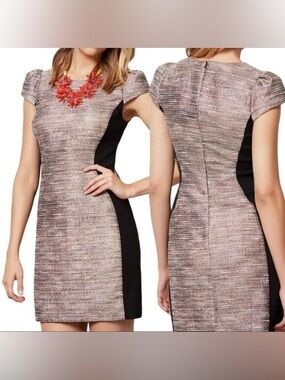 Anthropologie Moulinette Soeurs Grisaille metallic tweed sheath dress Size 4
